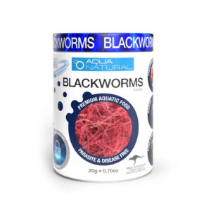 AQUA NATURAL Freeze Dried Blackworms 20g