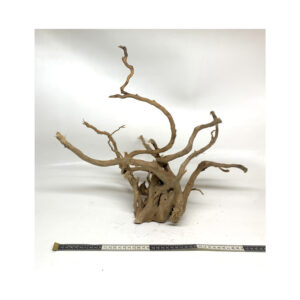 Gold Vine Driftwood