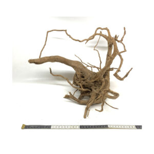 Gold Vine Driftwood