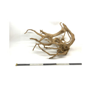 Gold Vine Driftwood