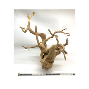 Gold Vine Driftwood