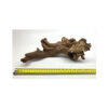 Wizard Driftwood - Image 2