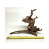 Wizard Driftwood - Image 2