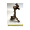 Wizard Driftwood - Image 4