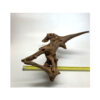 Wizard Driftwood - Image 3