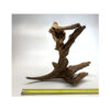 Wizard Driftwood - Image 4